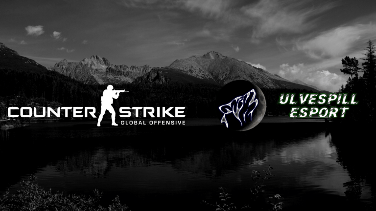 CS:GO &laquo;End Season&raquo; 2019 Results